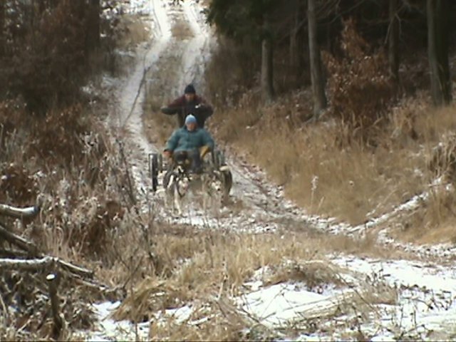 spřežení